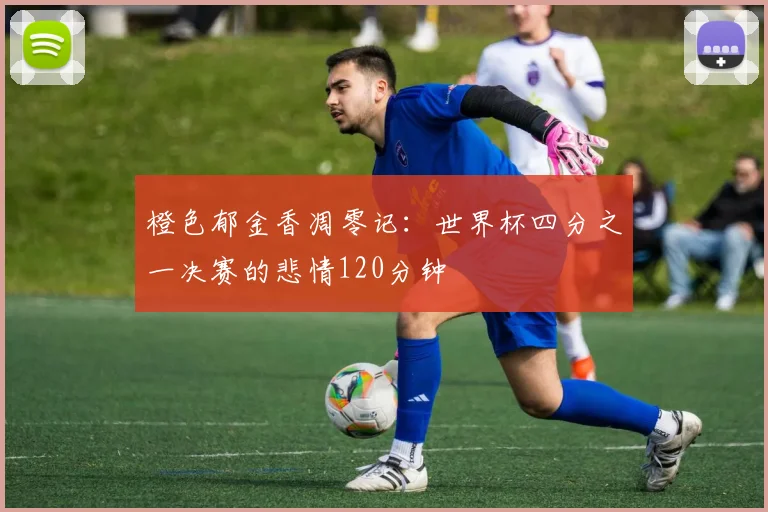 橙色郁金香凋零记：世界杯四分之一决赛的悲情120分钟